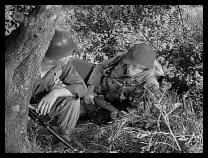 Live ammo drills