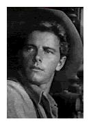 Peter Brown as Ross