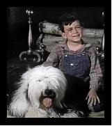 Jimmy Mathers in his country clothes with dog and black eye