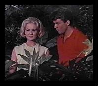 Brie [Shelley Fabares] and Jody [Fabian] see that Augie and Chase are hitting  it off
