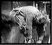 the body slung over the saddle